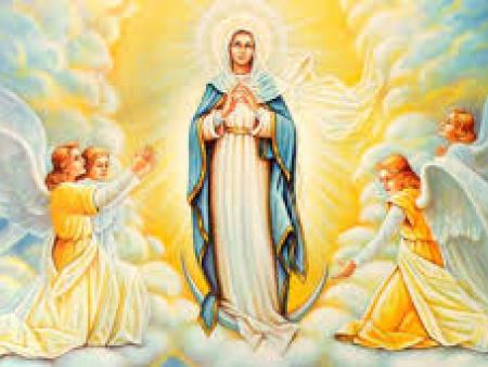 8 dicembre SOLENNITÀ IMMACOLATA CONCEZIONE 